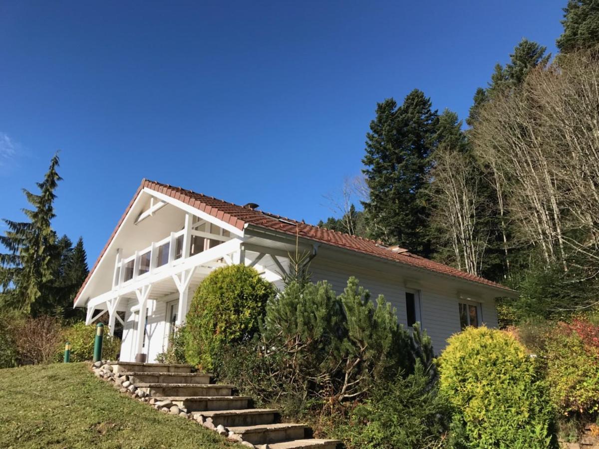 Le Chalet Blanc - Jacuzzi / Piscine / Sauna Gerardmer Bagian luar foto